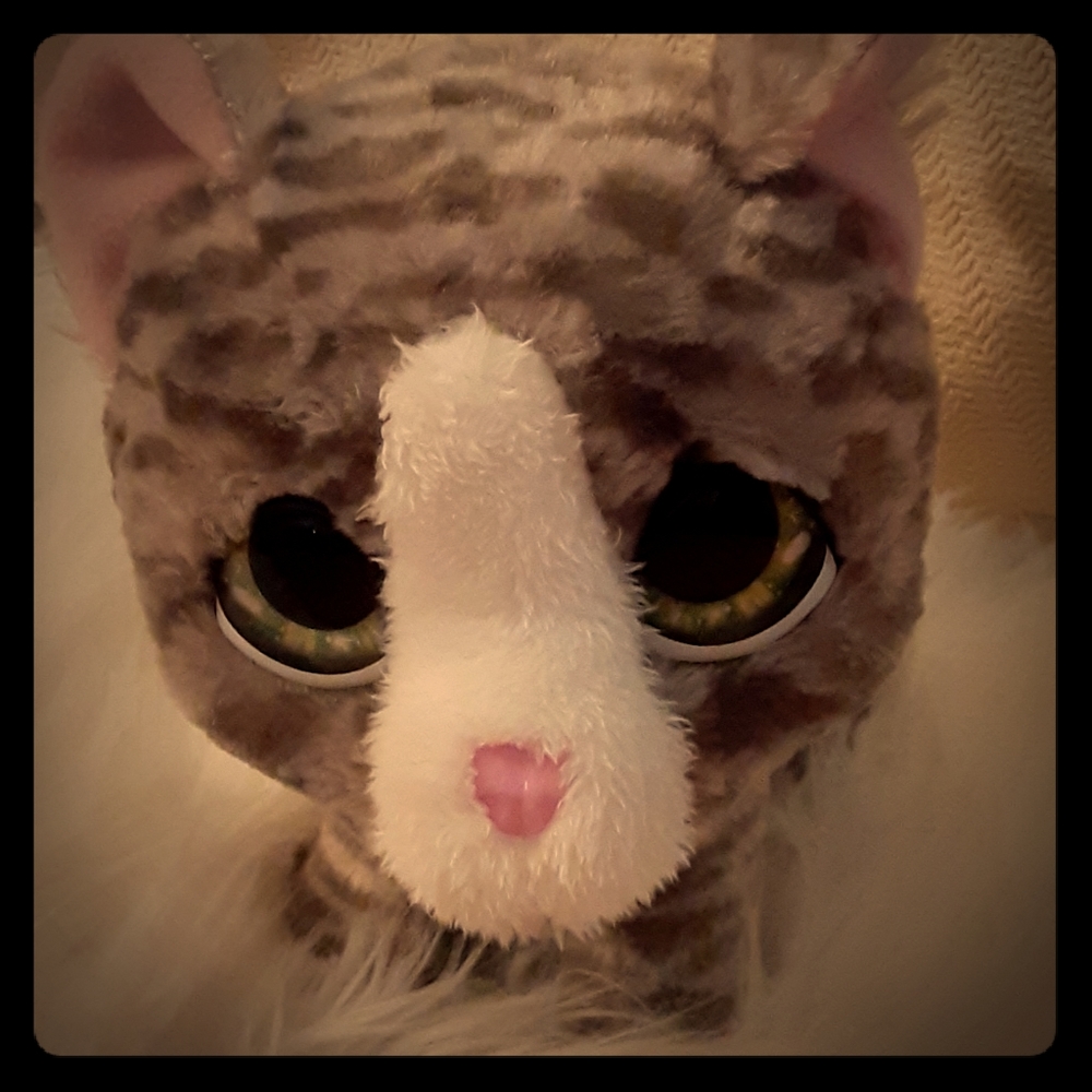 Electric cat toy